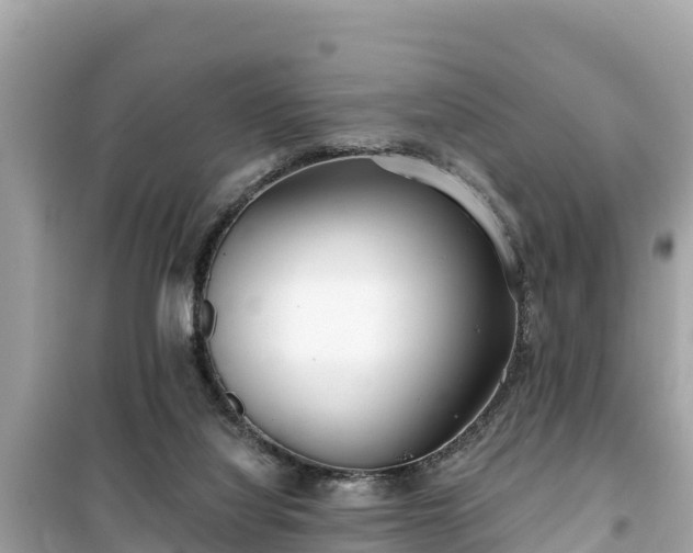 X0000099520068200805221452