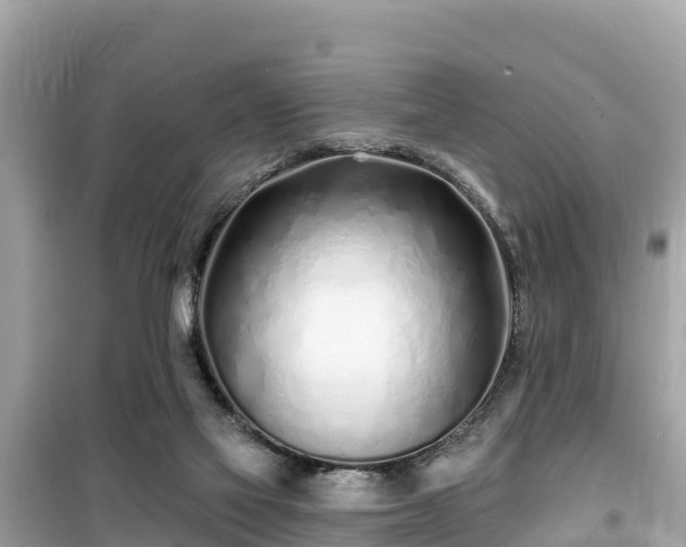 X0000099520069200805221452