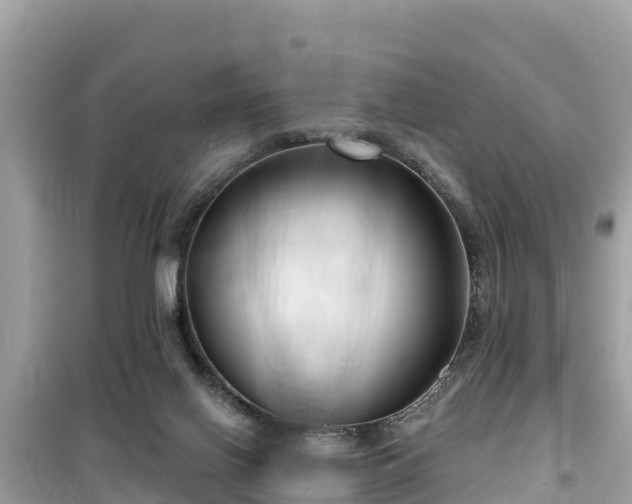 X0000099520070200805221452
