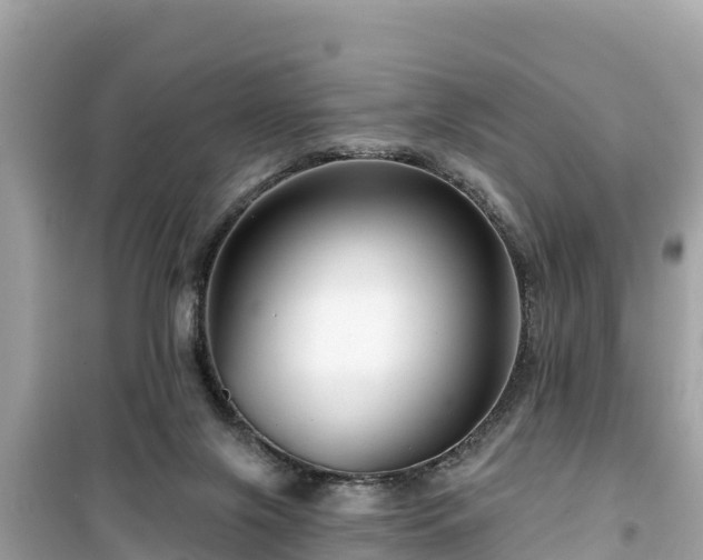 X0000099520071200805221452