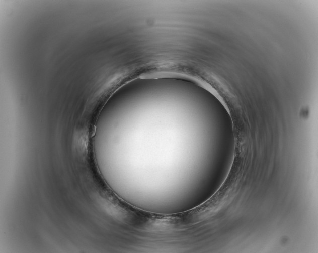 X0000099520072200805221452