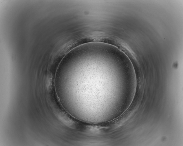 X0000099520073200805221452