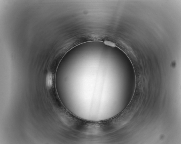 X0000099520075200805221452