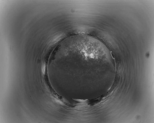 X0000099520076200805221452