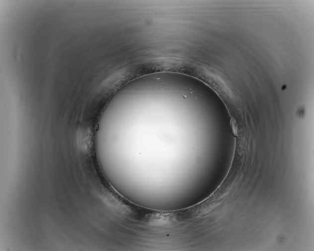 X0000099520077200805221452
