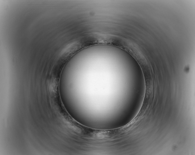 X0000099520078200805221452