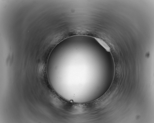 X0000099520079200805221452