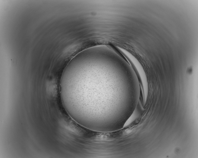 X0000099520080200805221452
