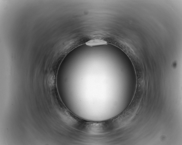 X0000099520081200805221452