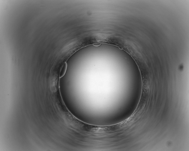 X0000099520082200805221452