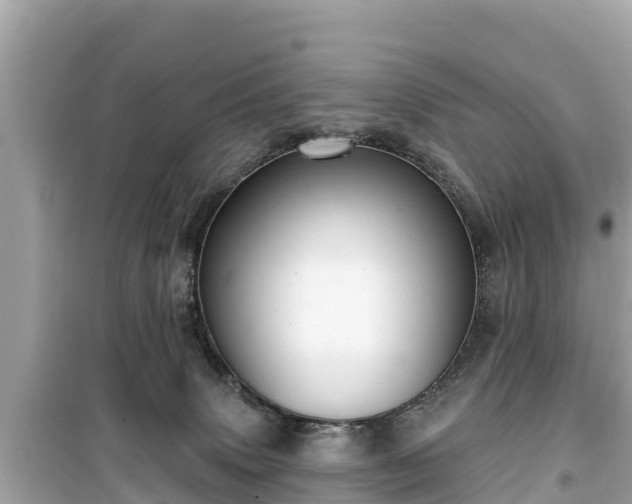 X0000099520083200805221452