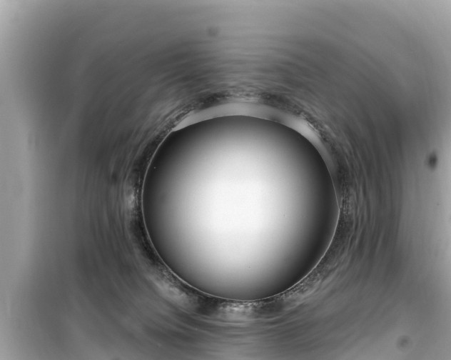 X0000099520084200805221452