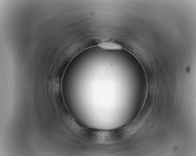 X0000099520085200805221452