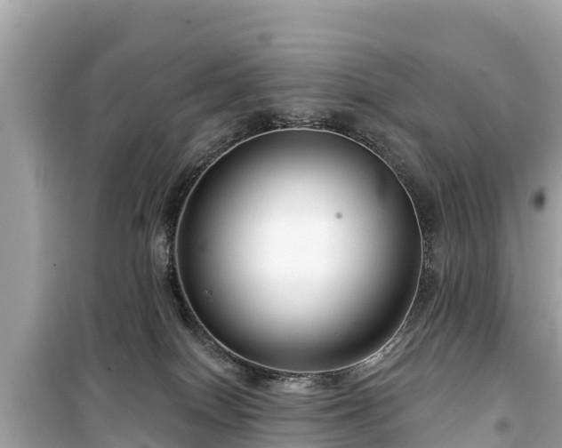 X0000099520086200805221452