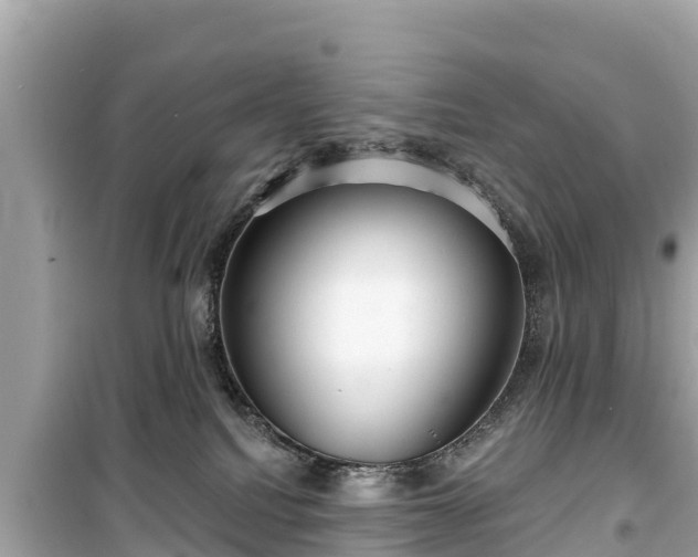 X0000099520088200805221453