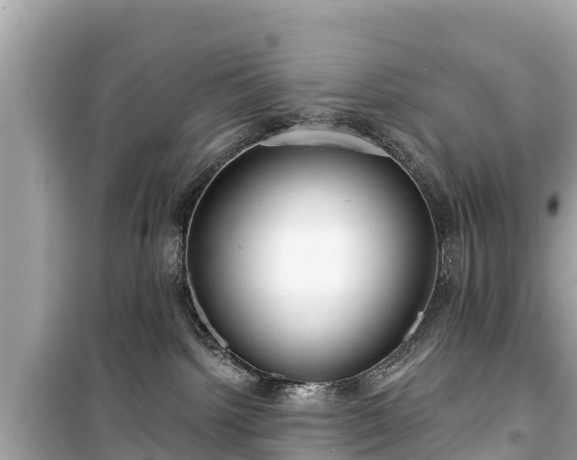 X0000099520092200805221453