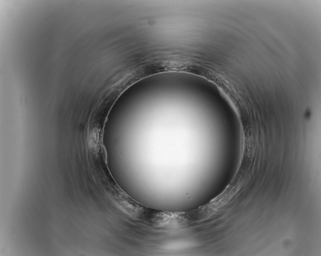 X0000099520093200805221453