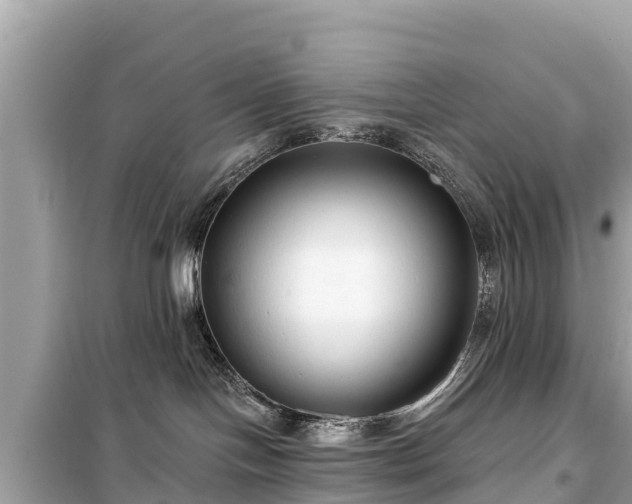 X0000099520094200805221453