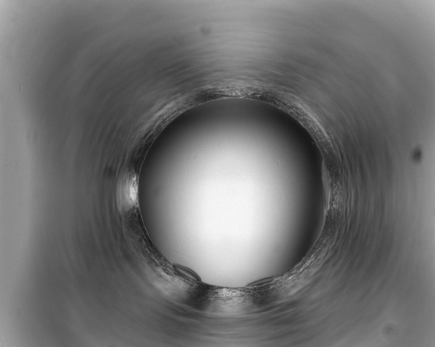 X0000099520095200805221453