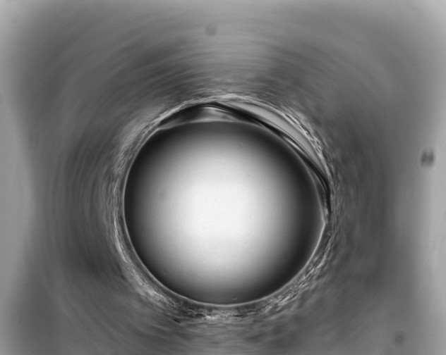X0000099520097200805221452