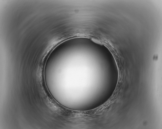 X0000099520098200805221452