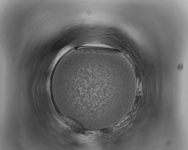 X0000099520099200805221452