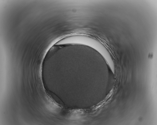 X0000099520100200805221452