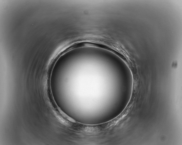 X0000099520101200805221452