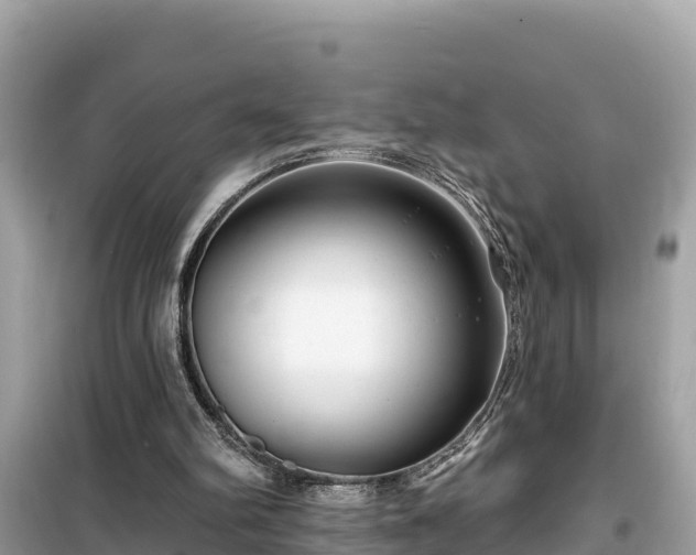 X0000099520102200805221452