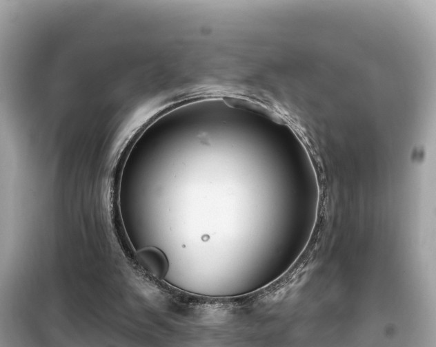 X0000099520103200805221452