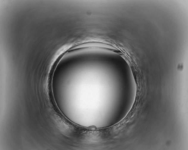 X0000099520104200805221452