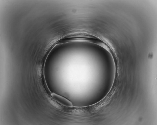 X0000099520105200805221452