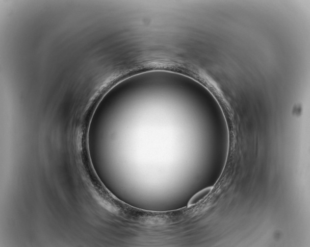 X0000099520106200805221452