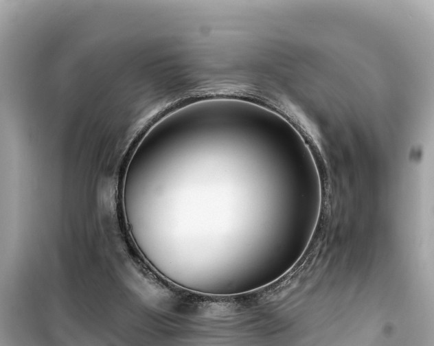 X0000099520107200805221452