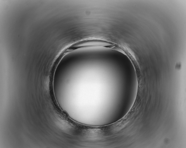 X0000099520108200805221452