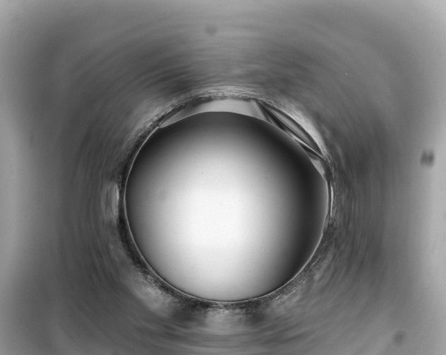 X0000099520109200805221452