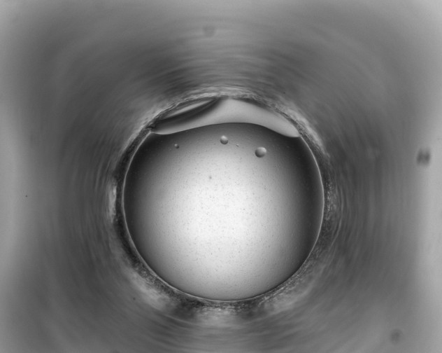 X0000099520110200805221452