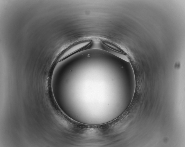X0000099520111200805221452