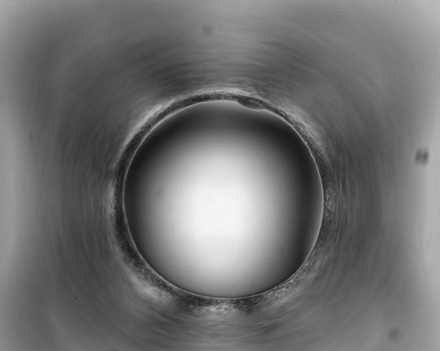 X0000099520112200805221452