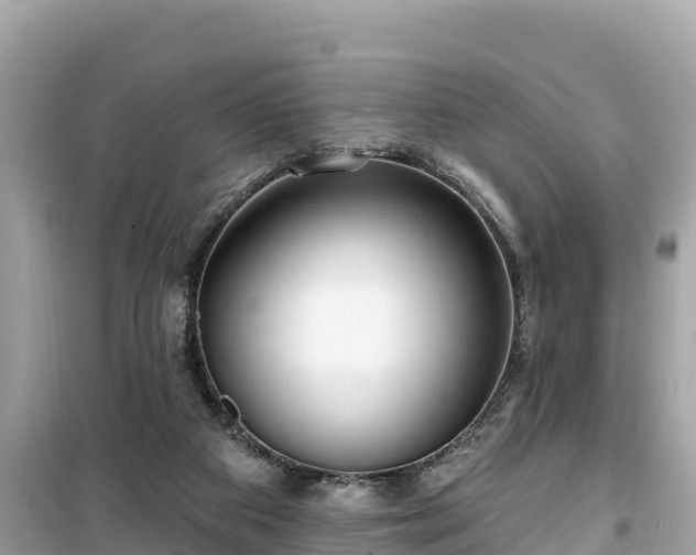 X0000099520113200805221452