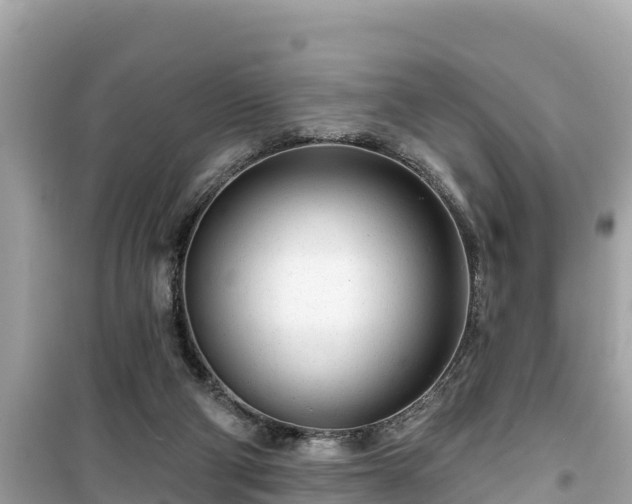 X0000099520114200805221452