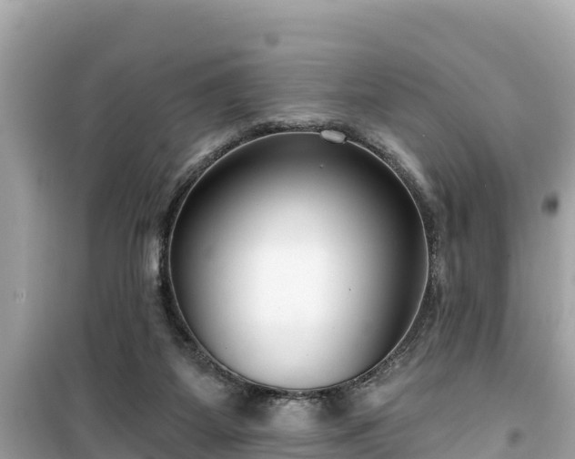X0000099520115200805221452