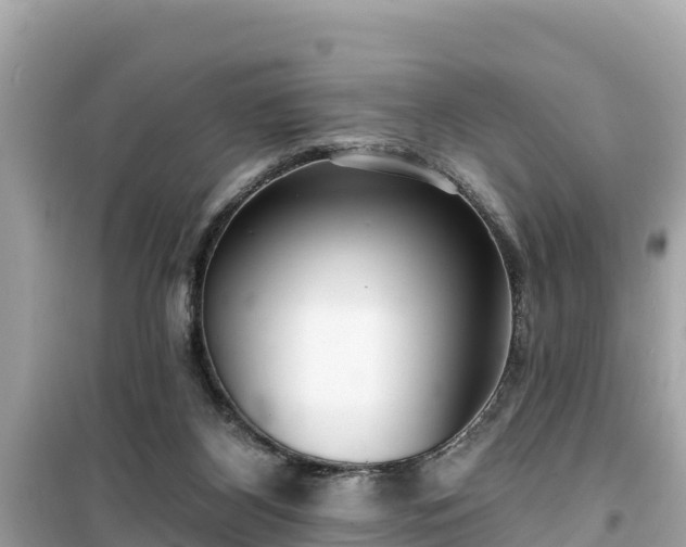 X0000099520116200805221452