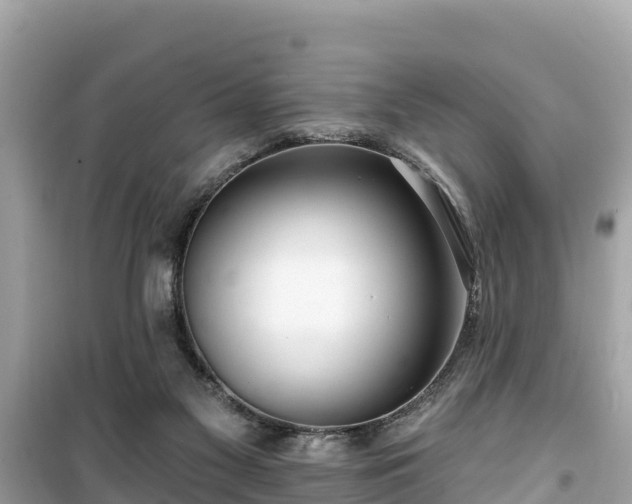 X0000099520117200805221452