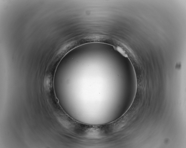 X0000099520119200805221452