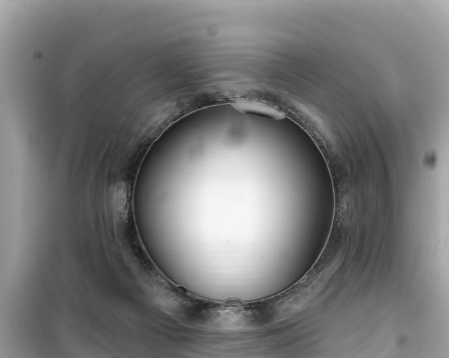 X0000099520121200805221452