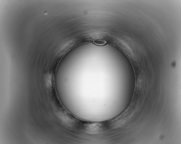X0000099520122200805221451
