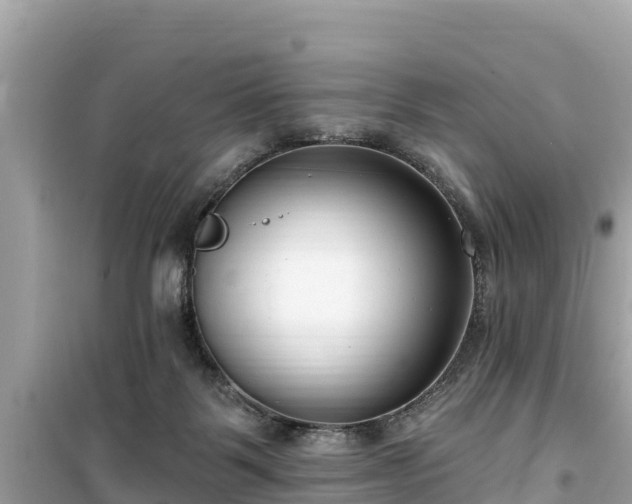 X0000099520123200805221451