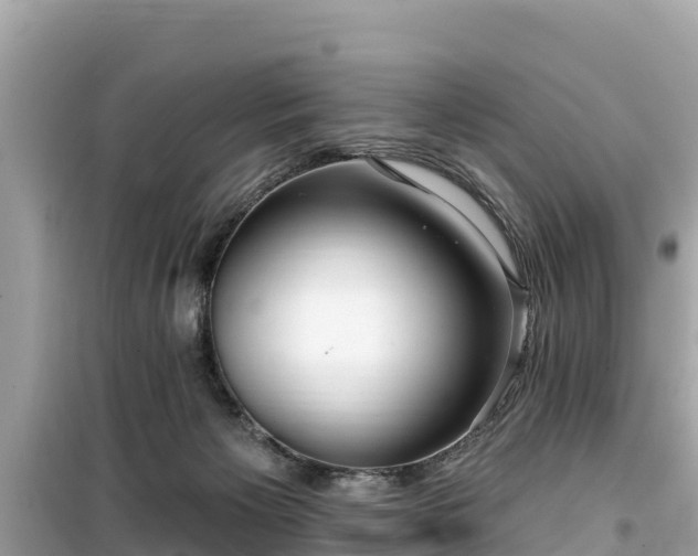 X0000099520125200805221451