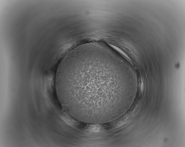 X0000099520127200805221451